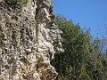 Mackinaw Island Area May 2008 0901